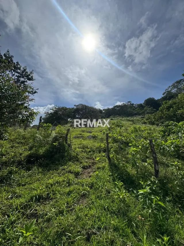 EN VENTA TERRENO EN BOROTA