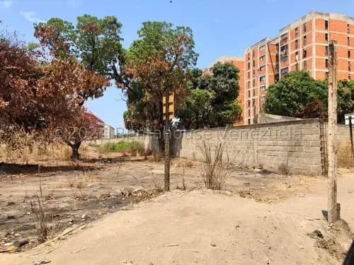 Terreno En Venta Palo Negro 24-23530 Yb