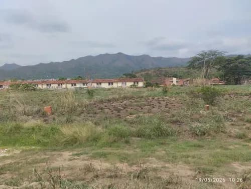 Terreno Tiene Levantamiento Topográfico Debidamente Delimitado, Cuenta Con Pozo De Agua Propio, Cerca De La Av. Julio Centeno, Supermercados, Farmatodo.