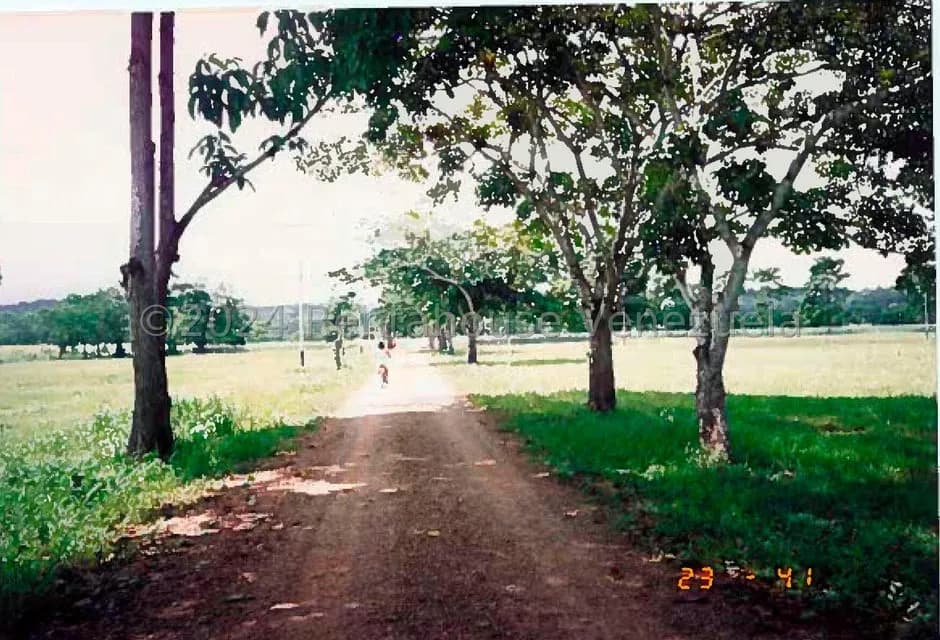 Terreno (Finca) en Venta en Villas de San Fernando, Miranda