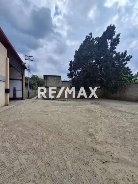 Amplio Terreno en Venta Ubicado en el Eje Vial Sector Mirabel II Callejón Divino Niño Parroquia Antonio Nicolas Briceño del Municipio San Rafael de Carvajal Estado Trujillo.