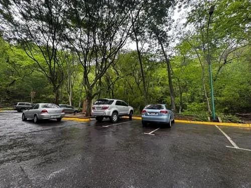 Apartamento En Venta En Piso Bajo De 161 M2 Con Cuatro Puestos De Estacionamiento, Family Room, Piscinas Y Pozo Residencias Trigal Country, Urbanización El Trigal Ml-rm