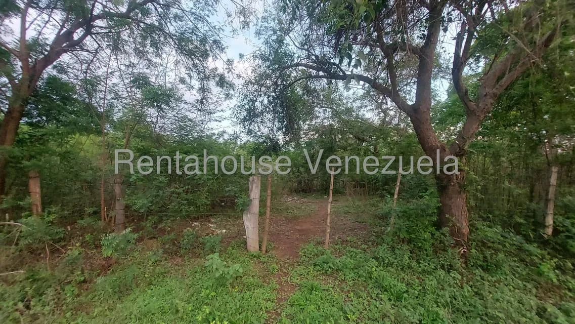 Terreno (Comercial) en Venta en El Danto, Zulia