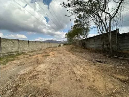 Terreno Guacara Ciudad Alianza