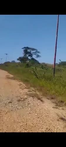 Tacarigua Vía Higuerote A Solo 10 Minutos Venta De Terreno De 45.164 M2 Con Un Pre Ante Proyecto Aprobado De 305 Viviendas