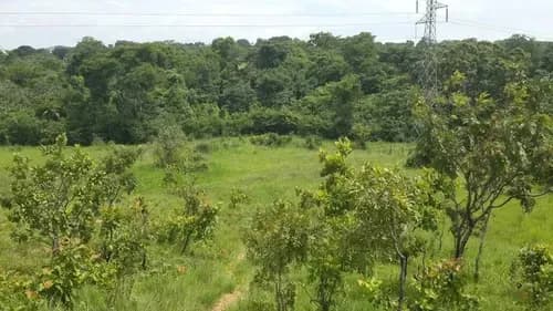 Yannet Inmuebles Vende Terreno Fertil Sabana Del Medio