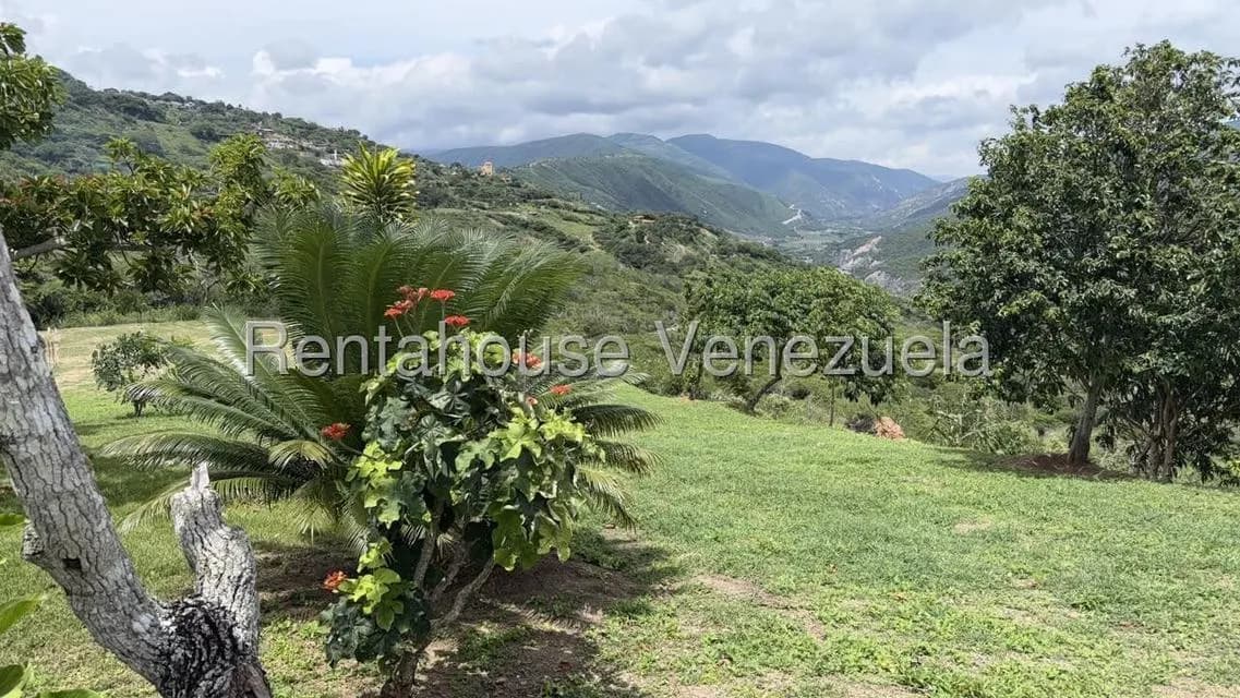 Terreno (Residencial) en Venta en El Manzano, Lara