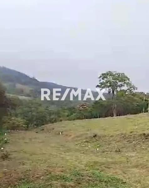 Parcelas en Guásimos Sector Abejal D2