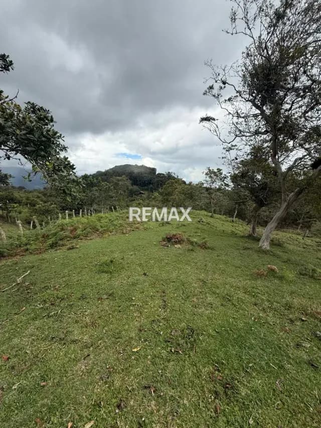 VENTA DE TERRENO EN POTRERO DE LAS CASAS