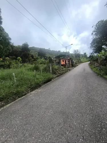 Terreno En Venta En Palmira La Laguna Villa Chalet San Cristóbal /im