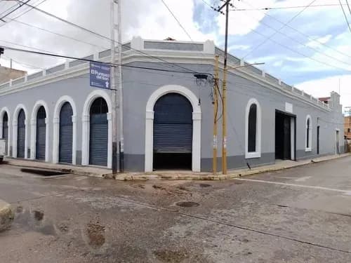 Johana Castillo Vende Local Y Galpon En El Centro De Valencia
