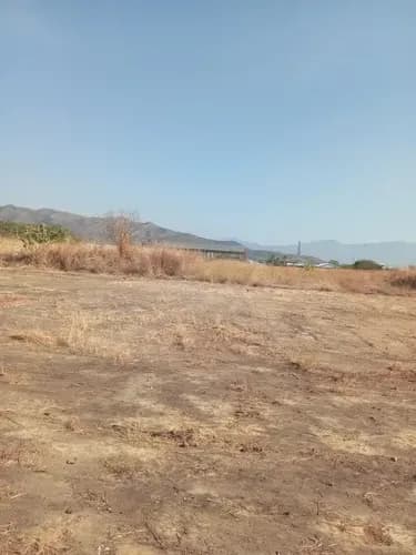 Leandro Araque Inzitu Realtors Ofrece En Venta Terreno Zona Industrial Y Municipal Del Norte Para Proyecto Industrial O Comercial Multiproposito