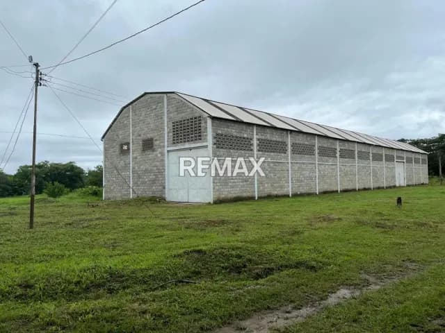 Se vende Finca en el sector el Molino (Manzanita)