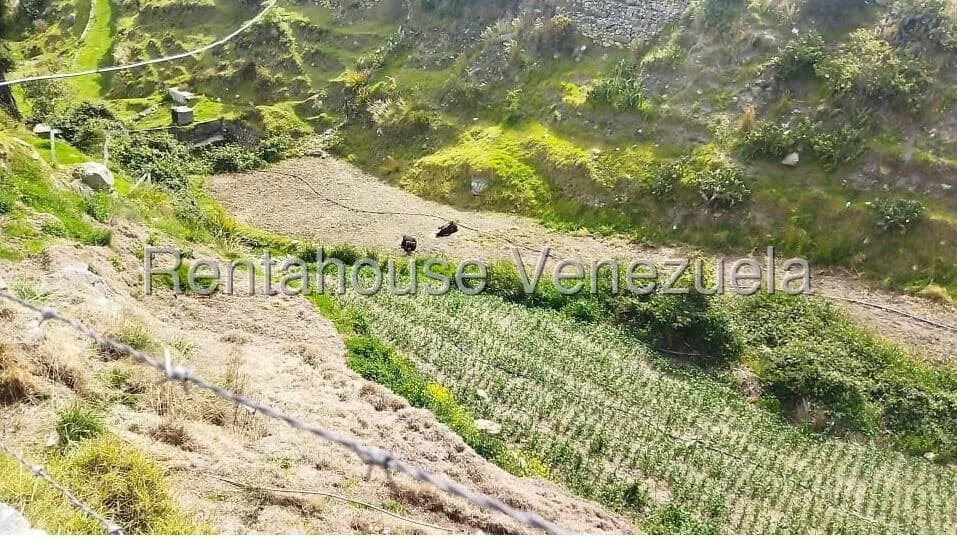 Terreno (Finca) en Venta en La Toma, Merida