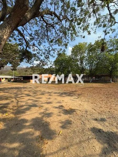 EN VENTA FINCA EN SAN FRANCISCO DE ASIS