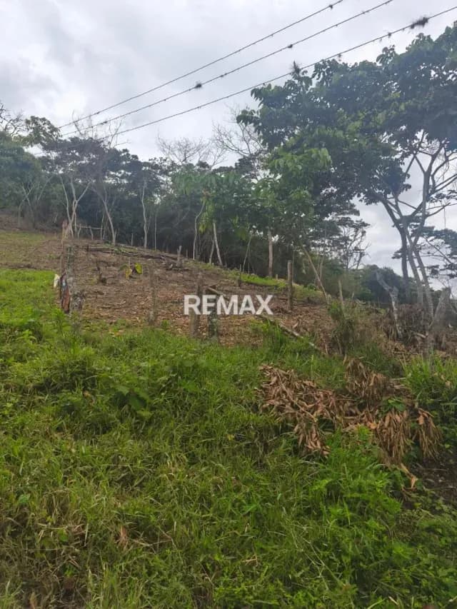 VENTA PARCELA EN PALMIRA