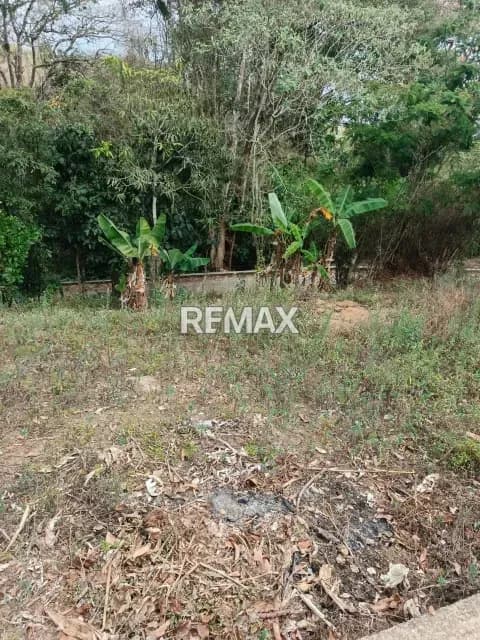 VENTA TERRENO EN EL ABEJAL DE PALMIRA