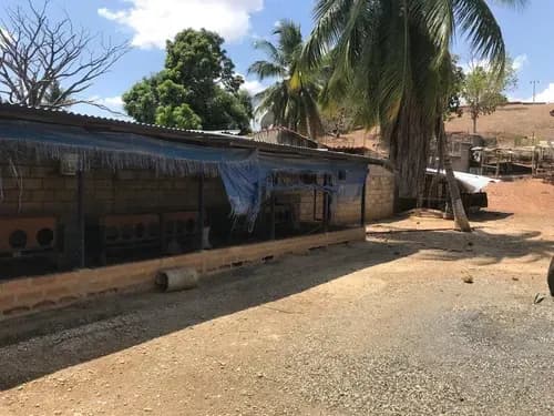 María Reyes Vende Amplia Casa Tipo Granja Con 2000 Mts2, Con Criaderos De Pollo, Agua Constante Y De Manantial, Una Vivienda Unifamiliar. #26-19324