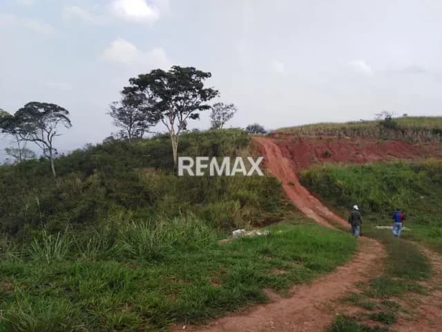 VENTA DE TERRENO EN PALOGORDO CARDENAS