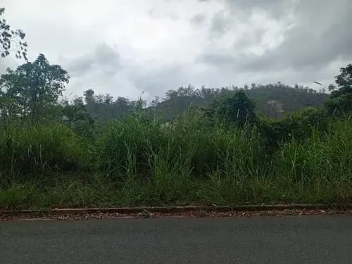 Terreno En Venta En Colinas De Carrizal