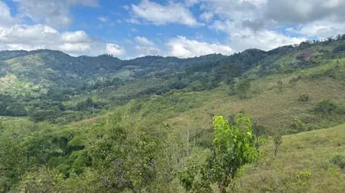 Mp 308343 Lote Virgen De 22 Hectarias En Aguirre, Montalban, Edo Carabobo- 40.000$