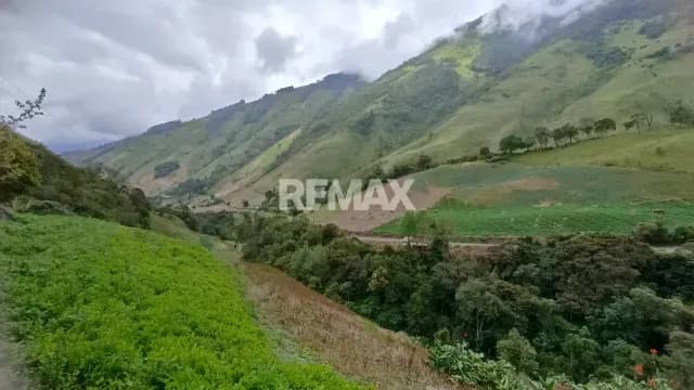 SE VENDE FINCA EN LA GRITA