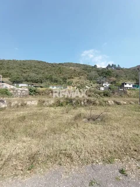 Parcela en Venta Palmira