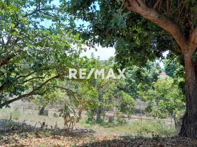 Finca en barrera en venta