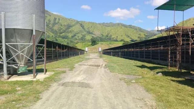 Venta de Granja Avicola 30 ha En Tinaquillo Edo Cojedes