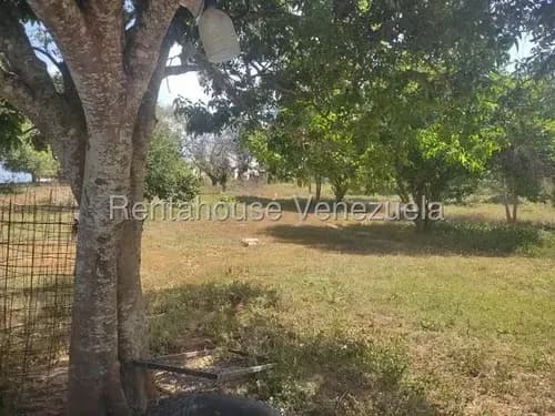 Maritza Lucena Vende Extenso Terreno De Dos Hectáreas, Con Casa En Cabudare, Con Dos Tanques De Agua