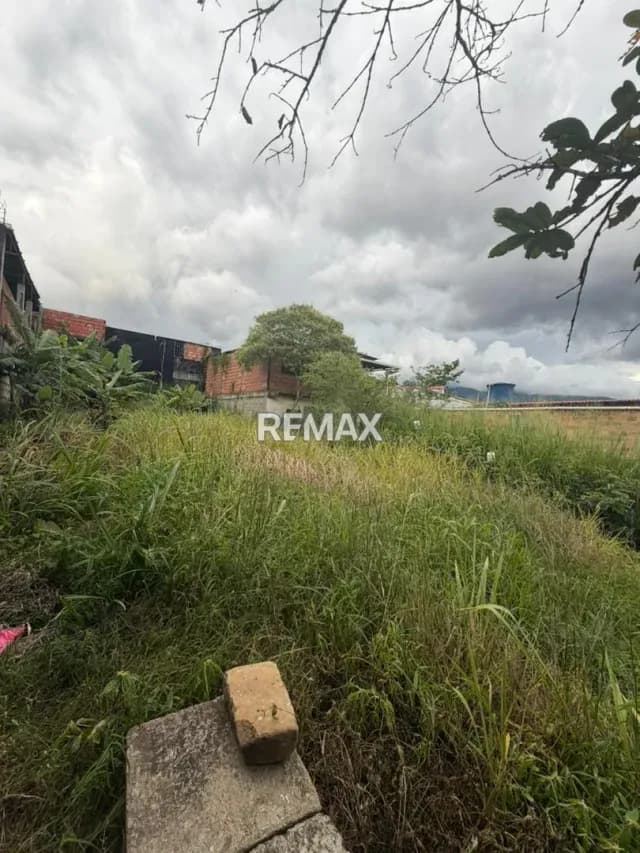 Terreno. Venta. Tariba
