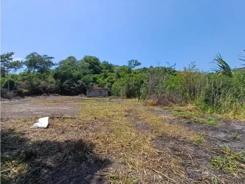 Venta De Terreno En Chuspa Estado La Guaira 10.000 M2 (rd)
