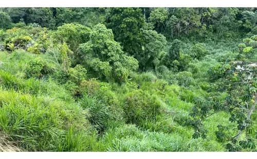 Vendo Terreno, 1.905 M2, La Unión
