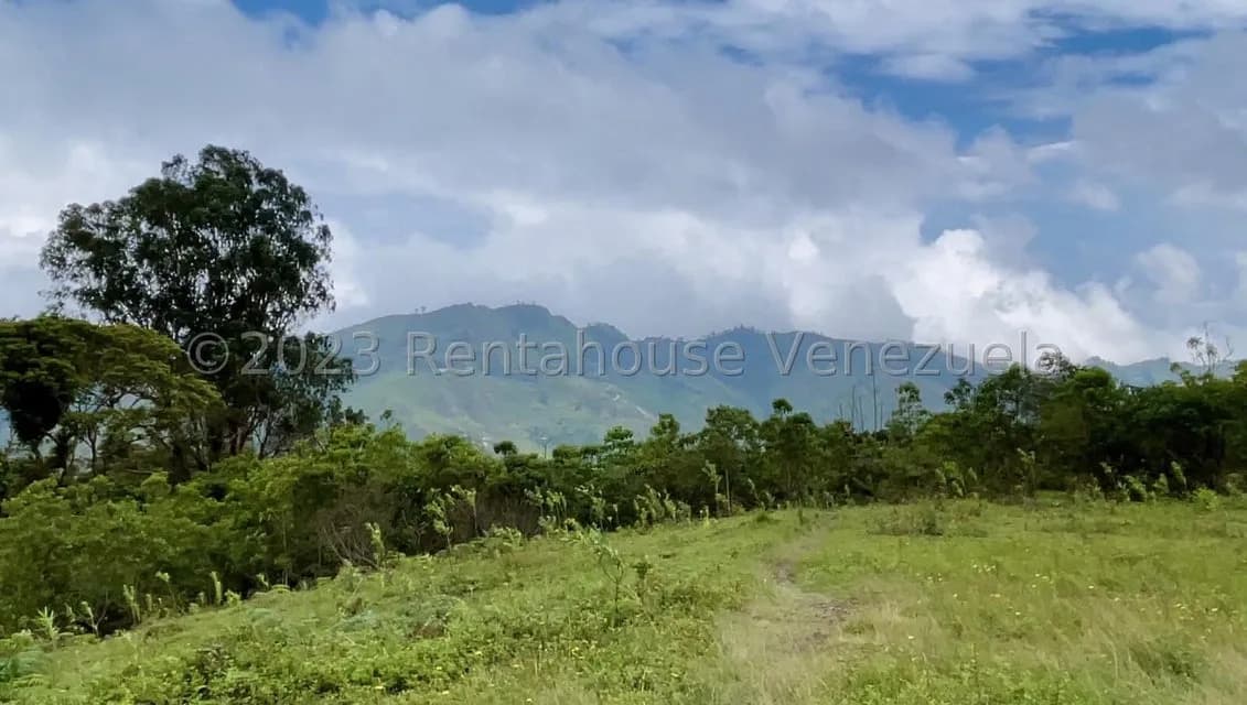 Terreno (Finca) en Venta en El Tibron, Vargas