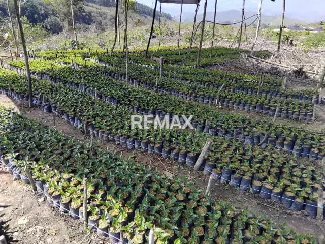 Finca en venta - $59k