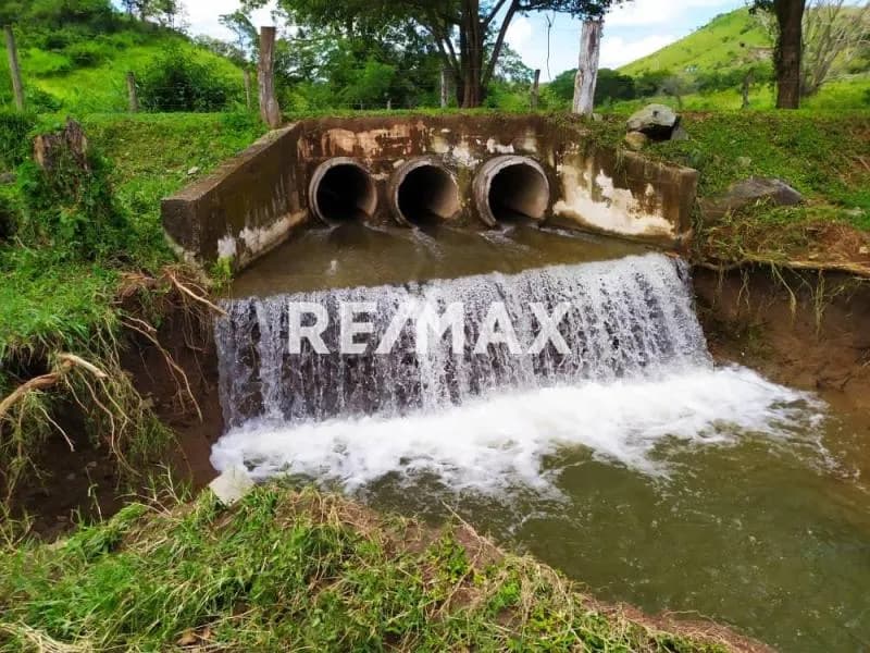 Ofrezco en venta granja integral avicola ganadera y minera ubicada en tinaquillo edo cojedes