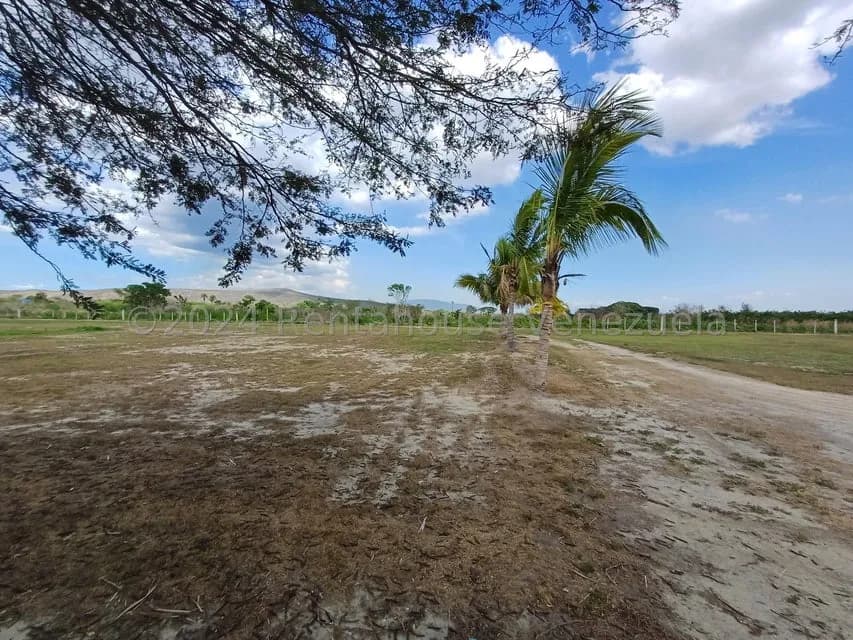 Terreno (Finca) en Venta en Municipio Peña, Yaracuy
