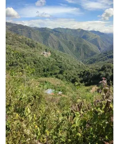 Vendo Terreno 5236m2 Caicaguana 4191