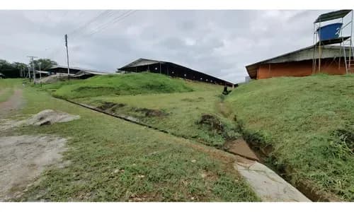 Granja Avicola En Venta Productiva Excelente Oportunidad De Negocios, Ubicada En Tinaquillo Edo Cojedes Sk