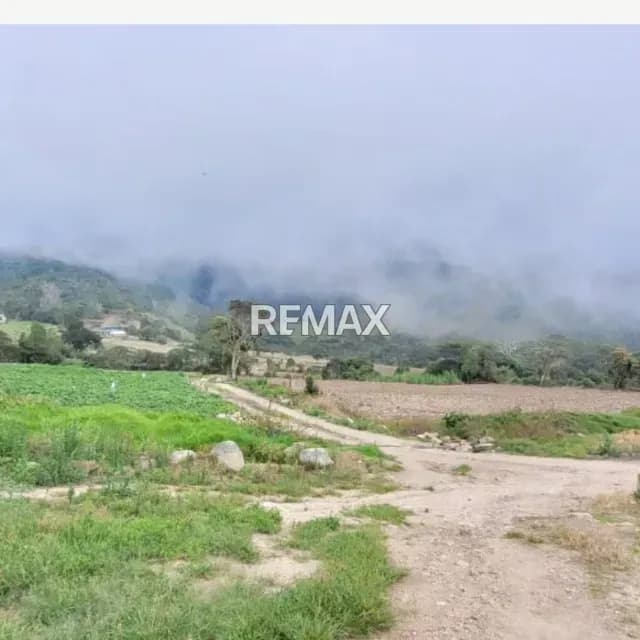 SE VENDE TERRENO EN LA GRITA