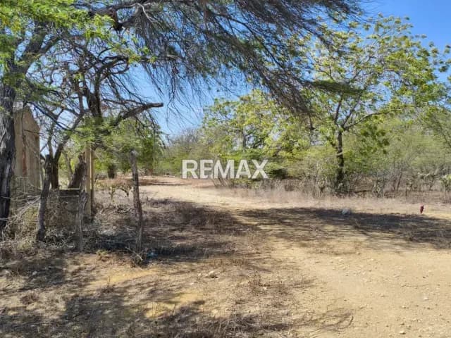 Terreno en Venta en el Taparo Sobre la Via Moruy