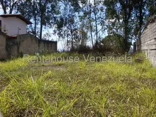 Tg Terreno En Venta En Los Naranjos Del Cafetal, En Calle Cerrada, Bonita Vista, Negociable! 26-16800