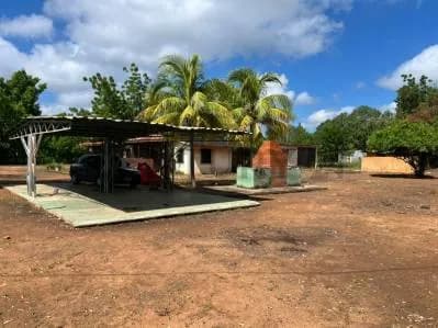 Granja en venta con casa de platabanda, sector los dulces palito blanco