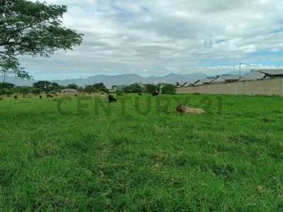 FINCA EN VENTA TURAGUA EDO ARAGUA 10HA TC