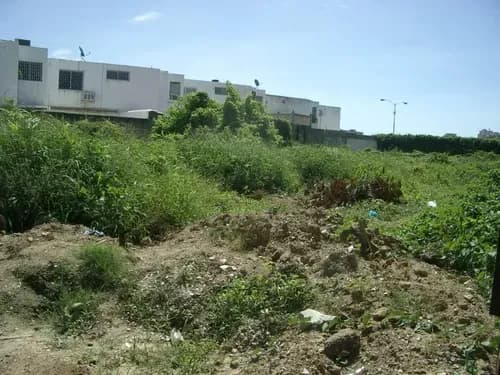 Terreno En Venta En Nueva Esparta