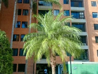 IMPECABLE PENTHOUSE EN VENTA EN COLINAS DE LA TAHONA