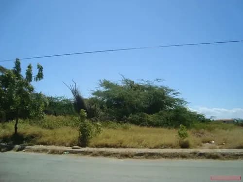 Terrenos En Venta En Macho Muerto Ic-00182
