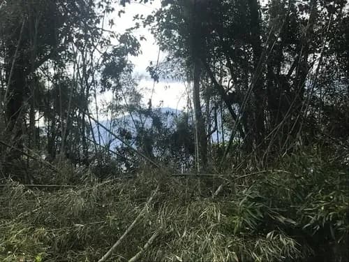 Luz Cardona Para Construir La Casa De Tus Suenos Te Presento Esta Bella Parcela De Terreno, Ubicada En Urbanismo Privado Y Cerrado. Con Acceso De Portón De Seguridad .