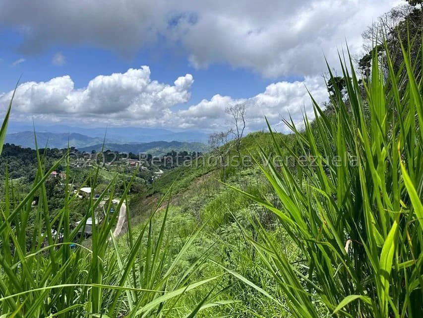 Terreno (Residencial) en Venta en El Limon, Miranda