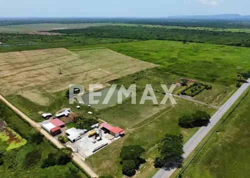 En Venta Finca De 45 Hectáreas De Terreno Plano, A Orilla De Carretera En El Alto, Yaracal.
